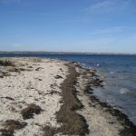 Halbinsel Holnis mit Blick nach Dänemark