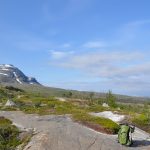 Abisko - Gletscherschrammen