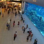 Dubai Aquarium in der Dubai Mall