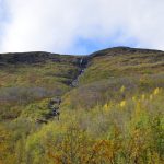Erosionsrinne und Waldgrenze