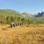 Forfjorddalen - Moorwanderung