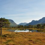 Forfjorddalen - Trogtal mit Deckenmoor