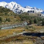 Gletschervorfeld Langgletscher