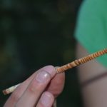 Holzprobe