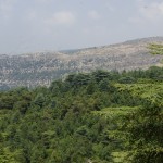 Horsh Ehden