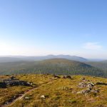 Pallas-Yllästunturi-Nationalpark - Waldgrenze (500m ü NN)