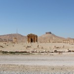 Palmyra mit Blick auf Qal_at Ibn Ma_n