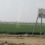Rotationsbewässerungsanlage (in der Nähe von Kairo): runde Anbauflächen, die mit Rotationsanlagen beregnet werden, ersetzen die traditionelle Überflutungsbewässerung © Domm 2013
