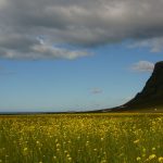 Skogarfoss