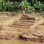 Subsistenzwirtschaft. Felder bei Luang Prabang