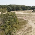 Sulina: Dünen