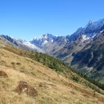 Waldgrenze Alp