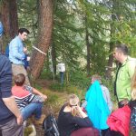 Waldmonitorin Lötschental