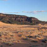 Coral Pink Sand Dunes State Park in der Abendsonne (© Claudia Finkler)