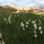 Landmannalaugar (© Dr. Eva Riempp)