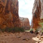 5-2 Capitol Reef Gorge © Dr. Hanna Hadler