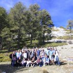 Dendro-Gruppe