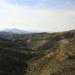 Garrigue