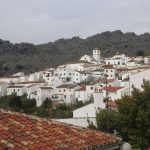 Pujerra
