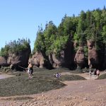 Hopewell Rocks (© Laura Wielert, Theresa Kapell und Elisabeth Sommerlad)