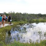 Moorwanderung Cape Breton (© Laura Wielert, Theresa Kapell und Elisabeth Sommerlad)