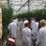 Besuch bei Tomatoworld (Agrarstandort Naaldwijk)