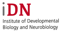 Institute of Developmental Biology and Neurobiology | iDN