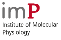 Institute of Molecular Physiology | imP