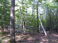 View image in original size