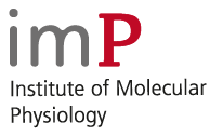 Institute of Molecular Physiology