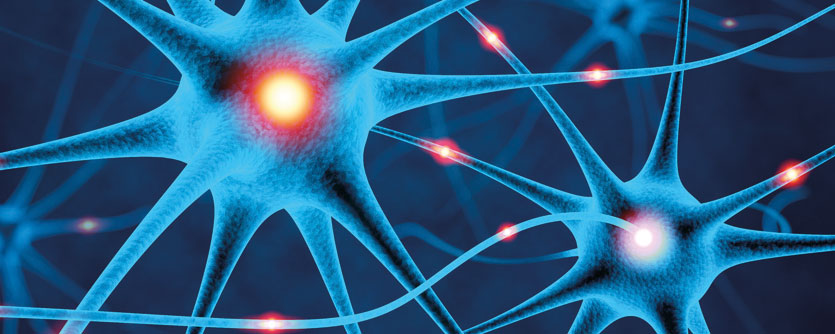 The goal of the FTN is to elucidate the physiological and pathophysiological mechanisms underlying the adaptation and homeostatic processes of the central nervous system, and ultimately to translate these findings to the clinic