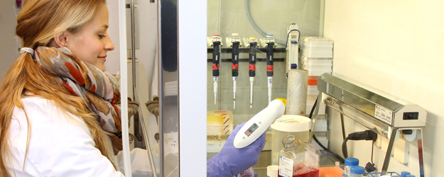 Das Mainz Screening Center (MSC) forscht an natürlichen Wirkstoffen aus Pilzen, Bakterien und Schwämmen. (Foto: Stefan F. Sämmer)