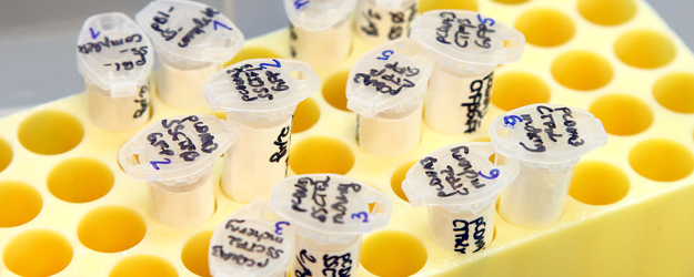 Prof. Dr. Roland Stauber hat die ChemBioMed-Initiative des Mainz Screening Center initiiert und leitet es seit jeher. (Foto: Stefan F. Sämmer)