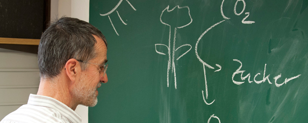 Das Lichtsammlerprotein LHCII spielt eine wichtige Rolle bei der Photosynthese und könnte eines Tages die Effizienz von Solarzellen gravierend erhöhen. (Foto: Peter Pulkowski)