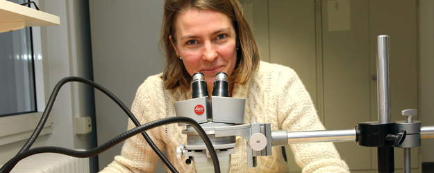 PD Dr. Gudrun Kadereit arbeitet an einer ausführlichen Internetseite, ein neues Logo fürs Herbarium gibt es bereits. (Foto: Stefan F. Sämmer)