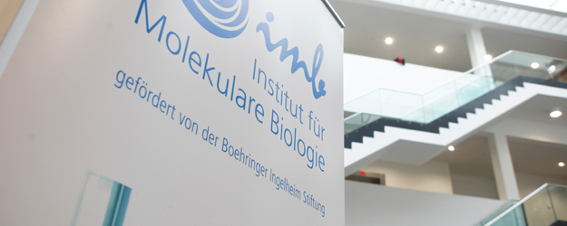 Mit dem Institut für Molekulare Biologie ist ein neues Zentrum für Lebenswissenschaften auf dem Campus der Johannes Gutenberg-Universität Mainz (JGU) entstanden. (Foto: Thomas Hartmann)