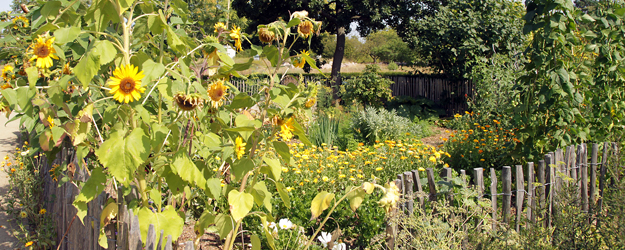 Geschützt wird das gerade mal 100 Quadratmeter umfassende Gelände von einem Staketenzaun aus Kastanienholz. (Foto: Stefan F. Sämmer)