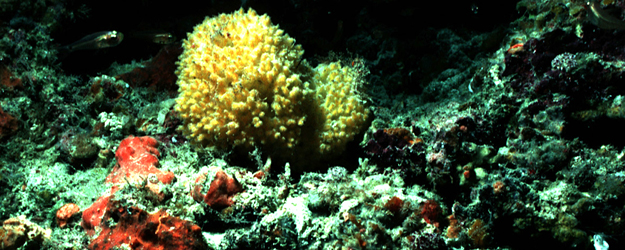 (photo/©: Institut für Physiologische Chemie)