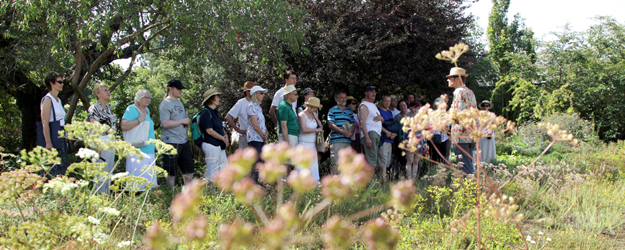 Dr. Ralf Omlor showed the visitors around under the topic "Mainz Sand Dunes and steppe plants". (photo: Stefan F. Sämmer)