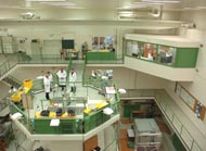 Research at JGU